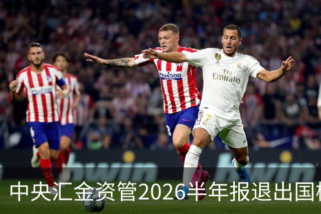 中央汇金资管2026半年报退出国检集团前十大股东名单