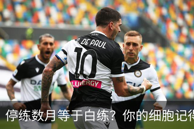 停练数月等于白练？你的细胞记得每一次流汗