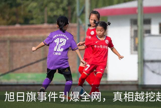 旭日旗事件引爆全网，真相越挖越惊心，董明珠一年前的担心没说错