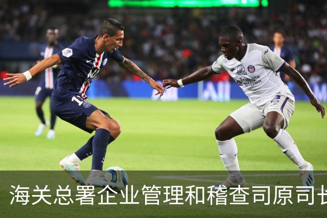 海关总署企业管理和稽查司原司长王胜被开除党籍