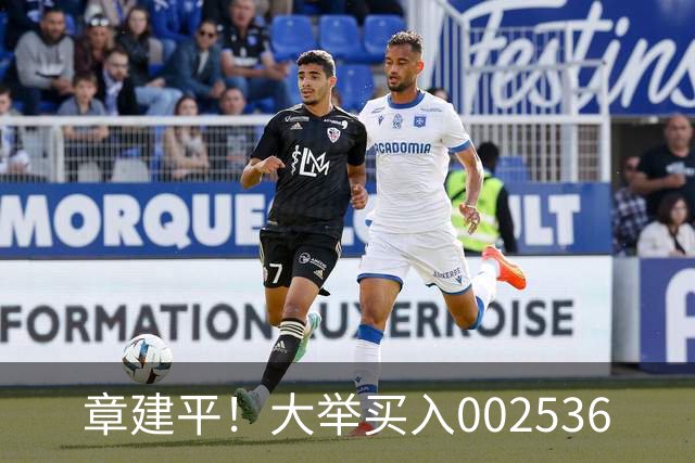 章建平！大举买入002536