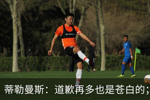 蒂勒曼斯：道歉再多也是苍白的；我们几乎所有环节都脱节了
