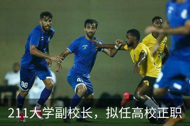 211大学副校长，拟任高校正职