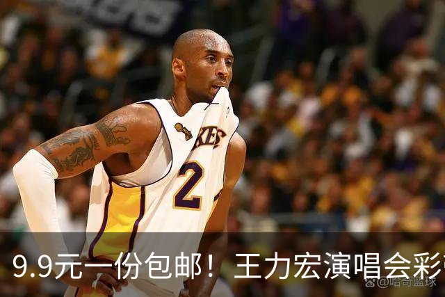 9.9元一份包邮！王力宏演唱会彩带被捡走后售卖，律师：彩带属主办方放弃的物品，个人捡拾收藏合法，对外售卖若标注官方周边则涉嫌侵权